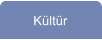 Kültür